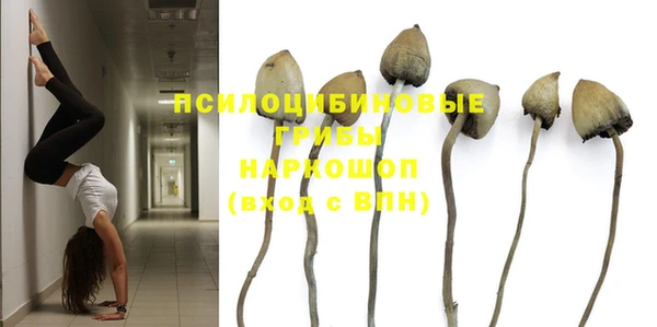 стаф Верхний Тагил