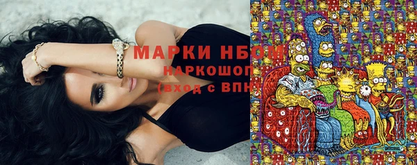 стаф Верхний Тагил