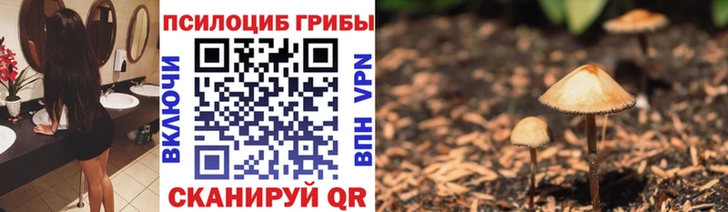 Псилоцибиновые грибы мухоморы  Купить где  Оленегорск 